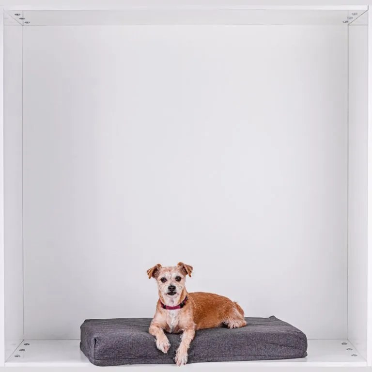 PETSTUFF® Kutyafekhely XL világosszürke 140 x 100 x 10 cm