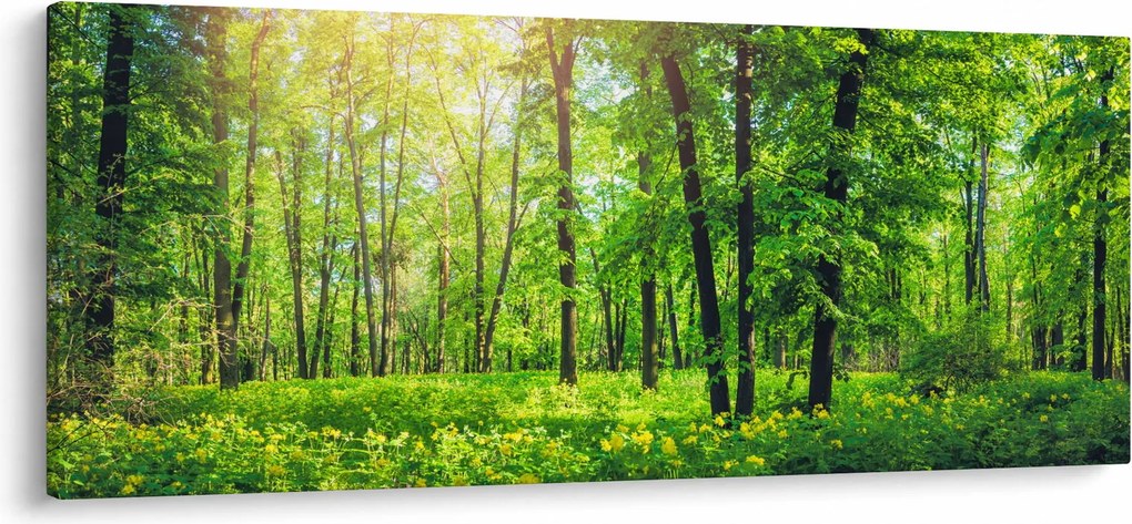 Kép - Tavaszi lomberdő (120x50 cm)