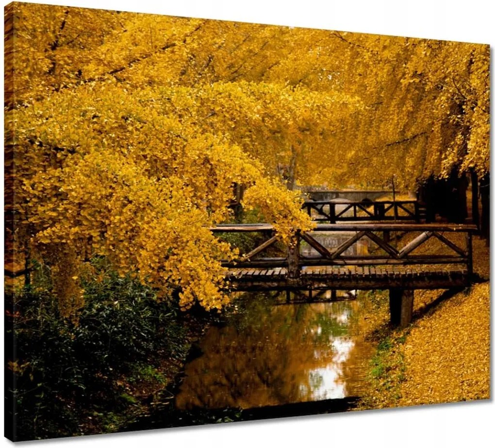 Vászonkép 50x40 Tájkép Látvány