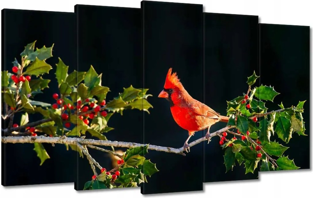 Vászonkép 100x60 Madarak