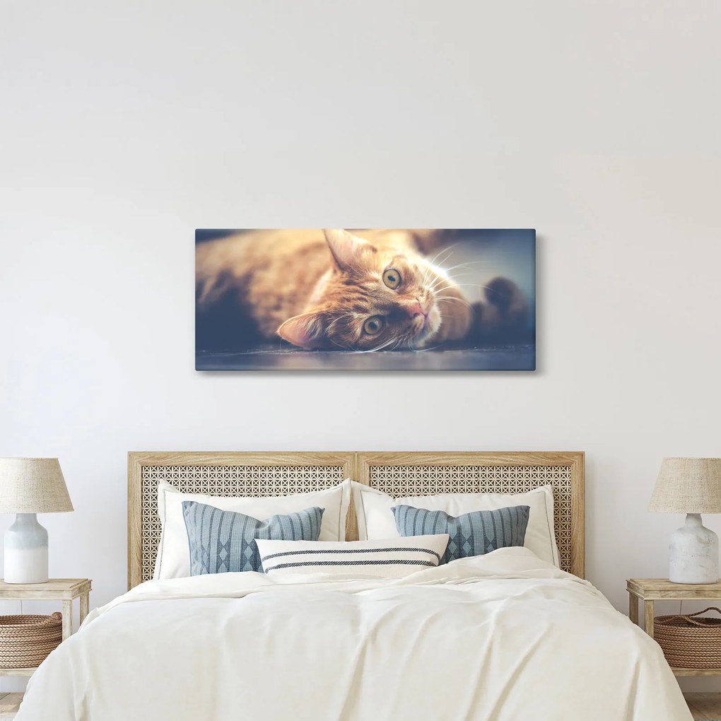 Egy kép a macskáról a padlón (120x50 cm)
