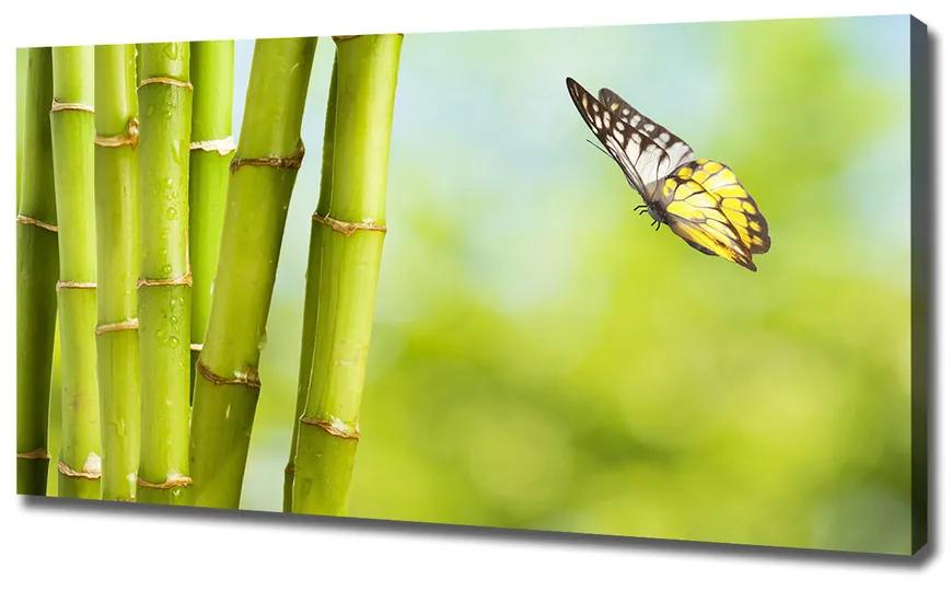 Egyedi vászonkép Bamboo és a pillangó pl-oc-120x60-f-69817087