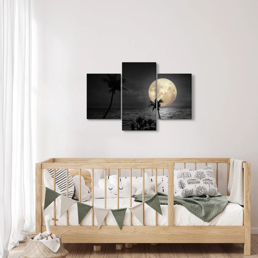 Kép - A strand a telihold alatt szürke tónusokkal (90x60 cm)