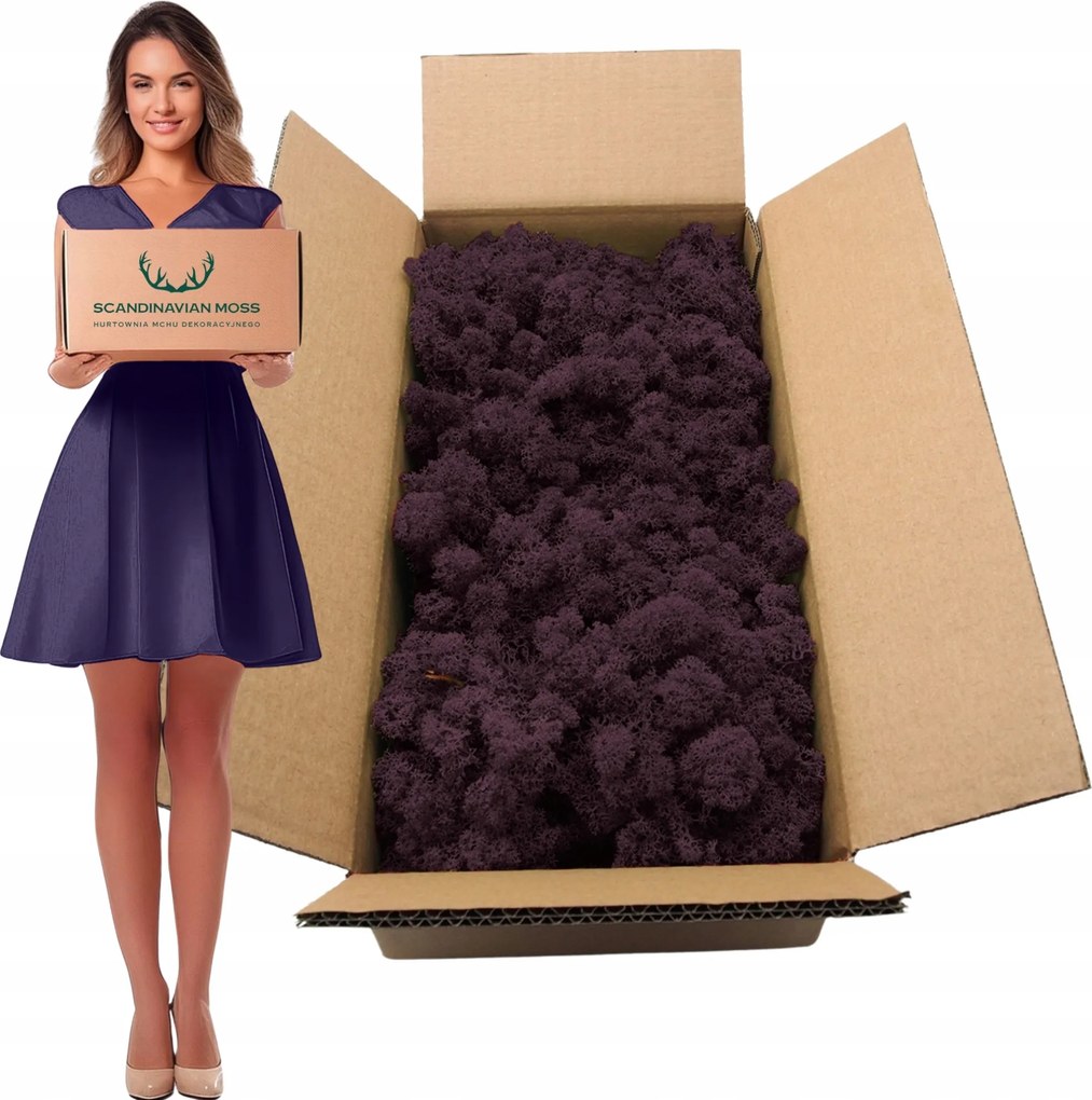 Rénszarvas moha norvég dekoratív élő dísz lila 500g