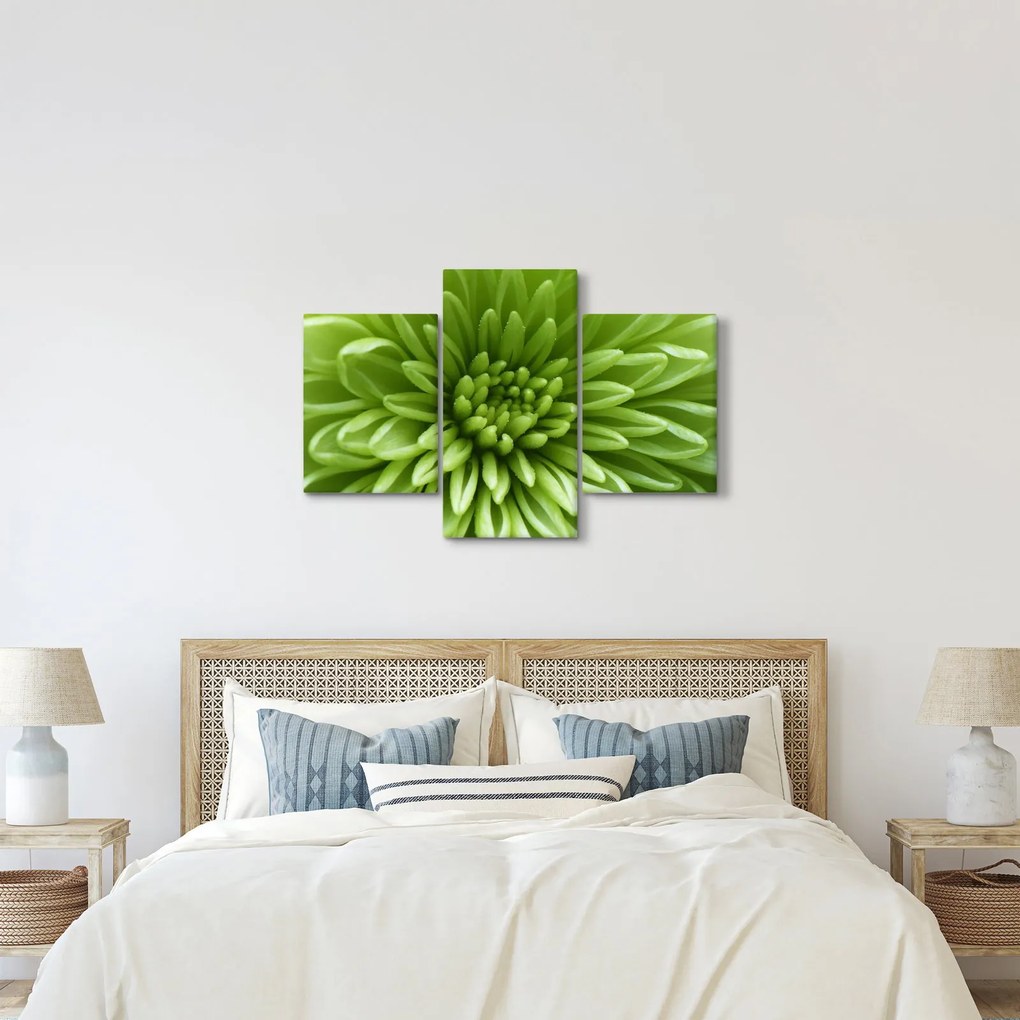 Kép - Makro kép egy növényről (90x60 cm)