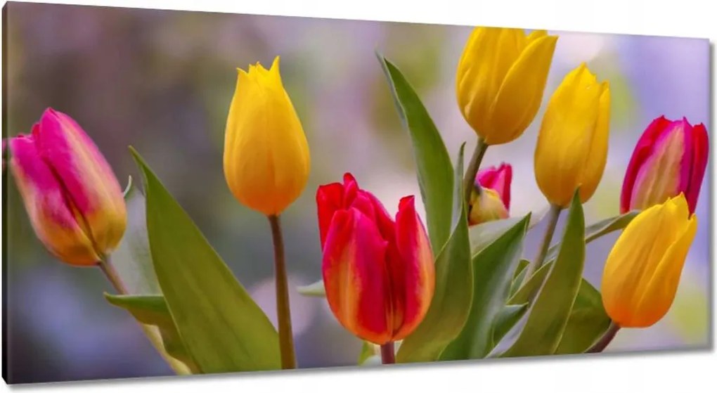 Vászonkép 115x55 Tulipánok Virágok