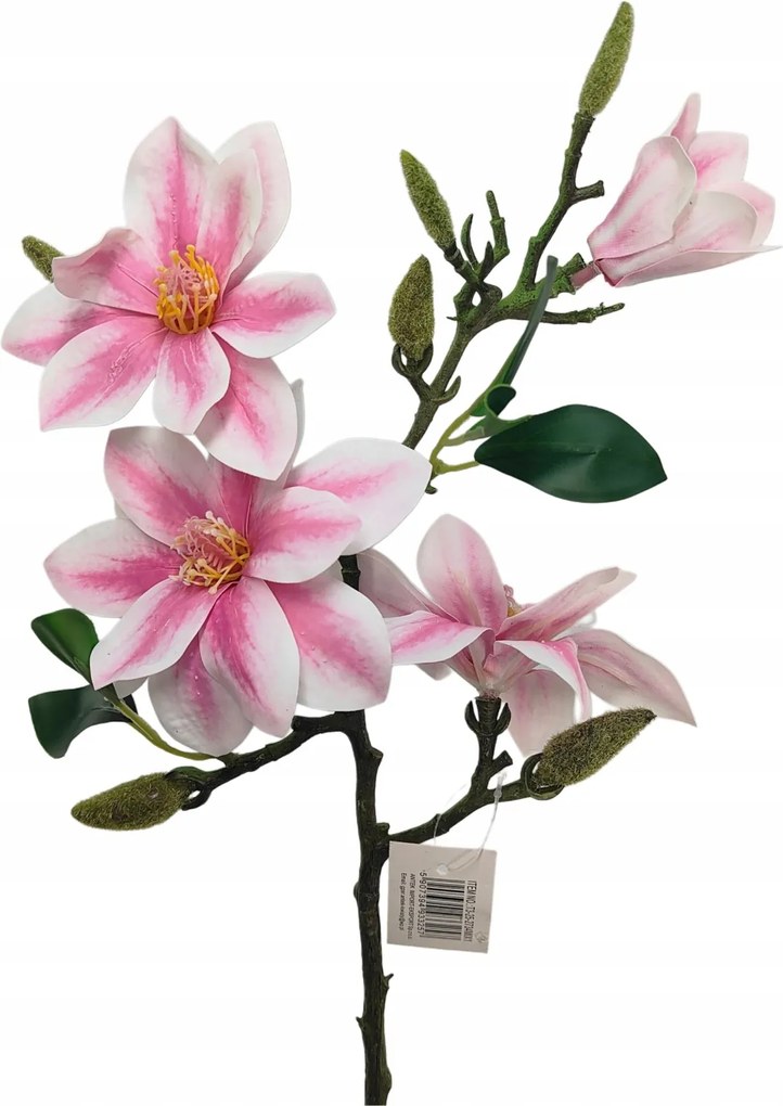 Orchidea ág gumírozott fehér-rózsaszín (sp)