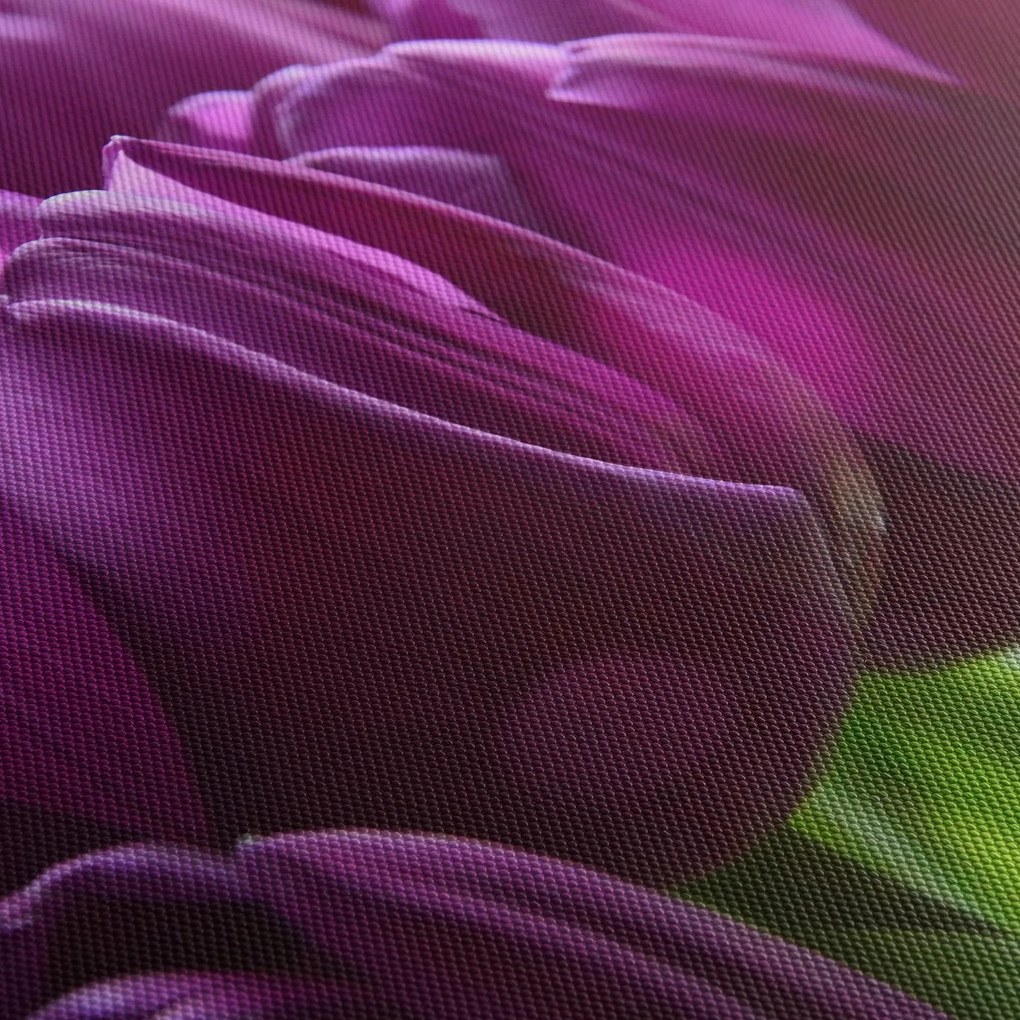 Tulipán képe (120x50 cm)