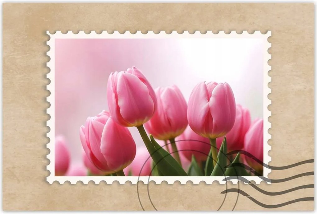 Poszter 60x40 Rózsaszín tulipánok