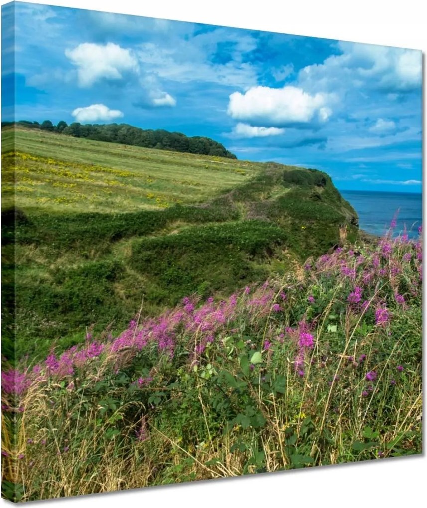 Vászonkép 30x30 Virágos rét a tengerparton