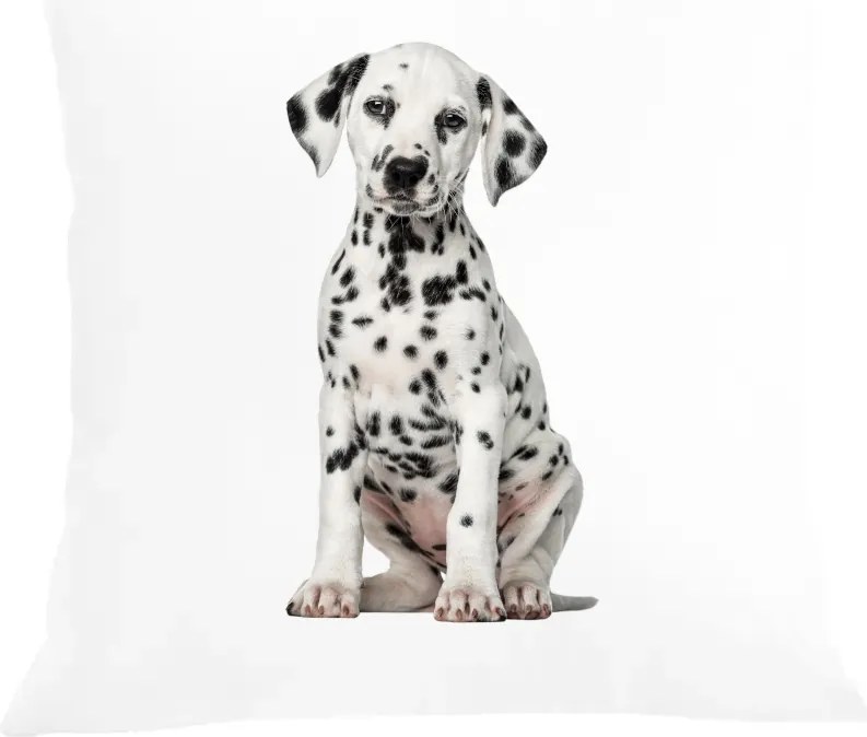 Párna párnahuzat Dalmata Cuki Kutya