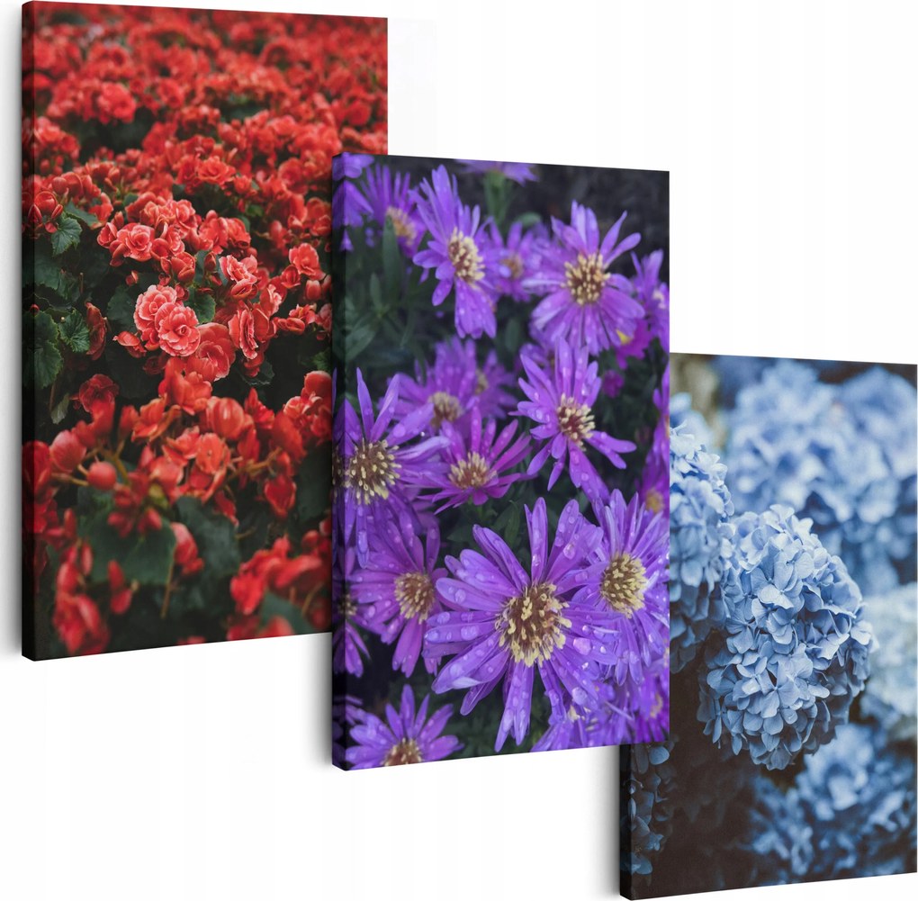 Vászonkép 150 cm **többféle minta** Nappali Képek Triptichon Virágok