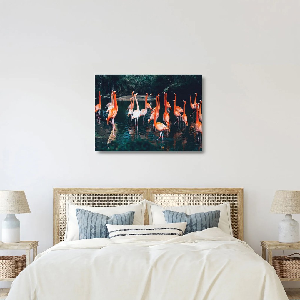 Flamingók csordája (70x50 cm)