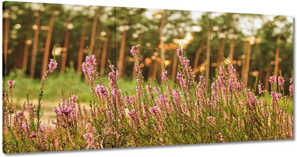 Vászonkép 180x90 Pókhálóval fonott hanga