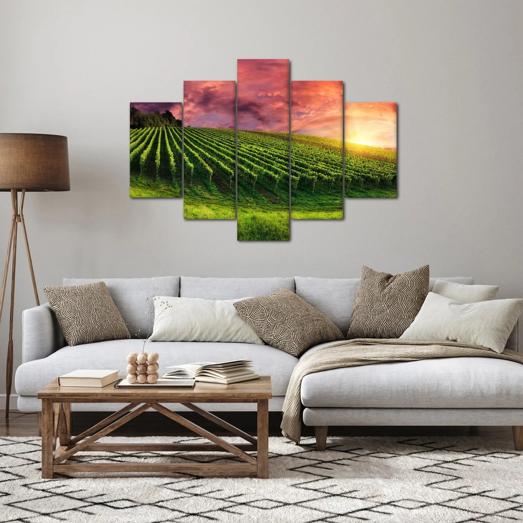 Szőlőskert és a színes égbolt képe (150x105 cm)