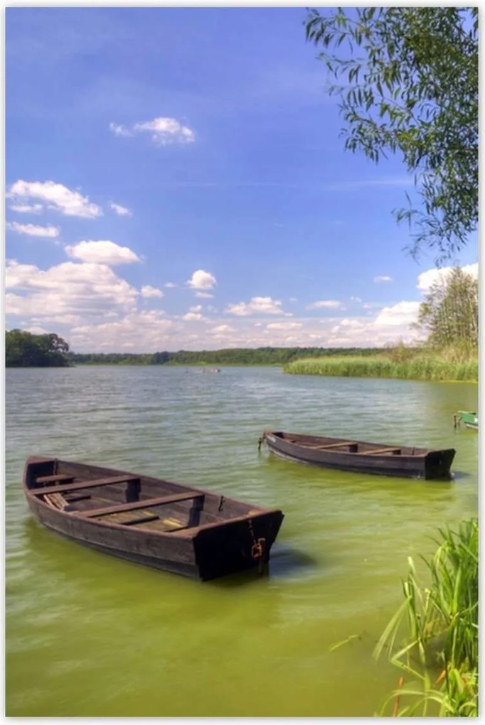 Poszterek 60x90 Séta a szabadkai parkban