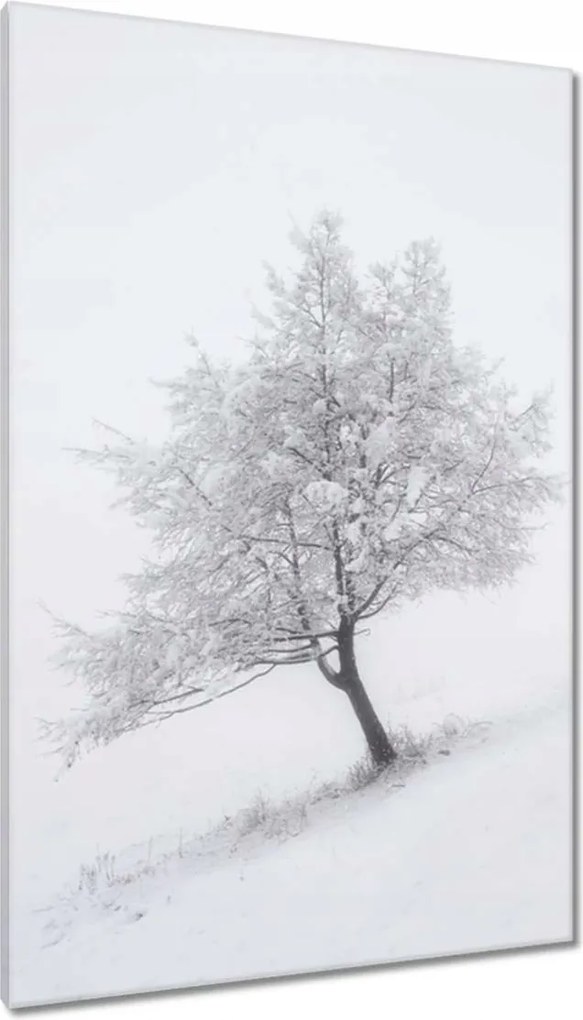 Vászonkép 80x120 Fa Kilátás