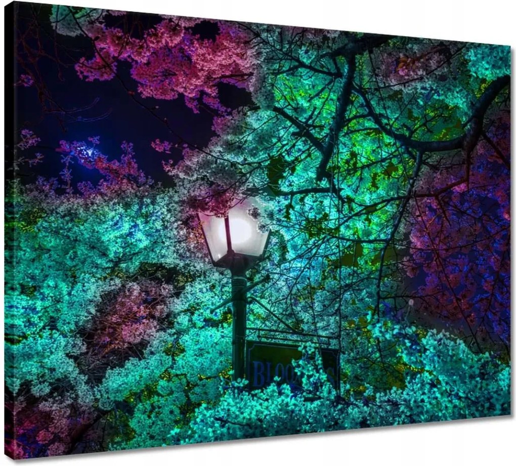 Vászonkép 50x40 Éjszakai motívum a konyhába