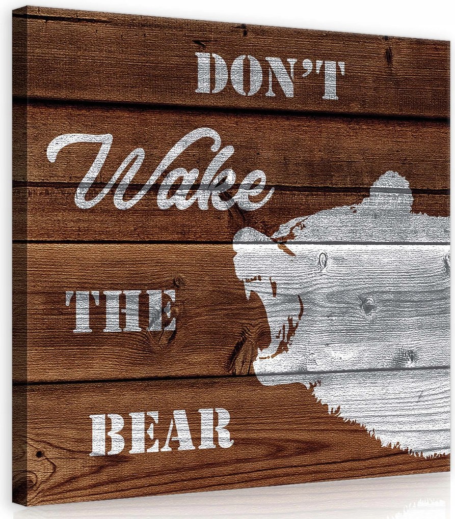 Vászonkép 40x40 Don't Wake The Bear medve álom tél erdő fa barna