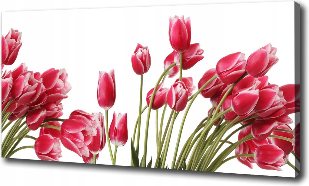 Vászonkép Vörös tulipánok 100x70 cm