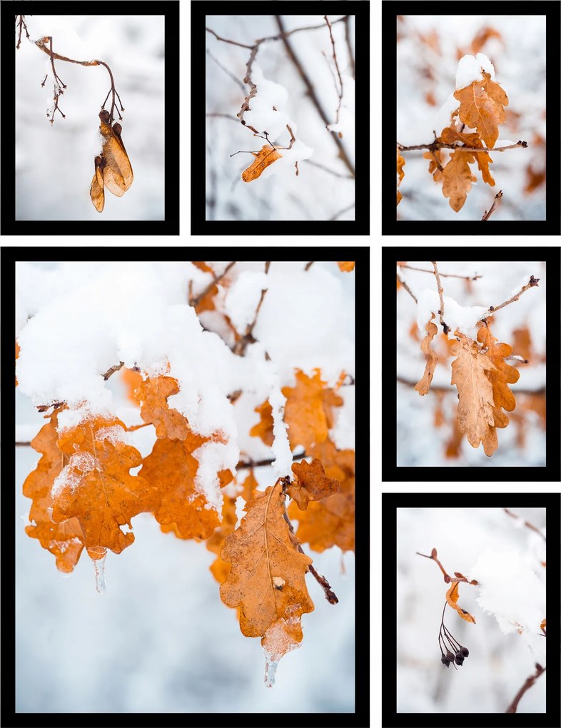 Poszter szett 6db téli fotó hó fa levelek nagy kép készlet