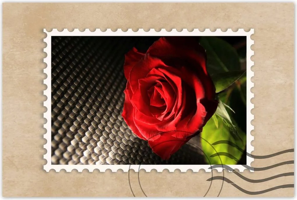 Poszter 90x60 Vörös rózsa levelekkel