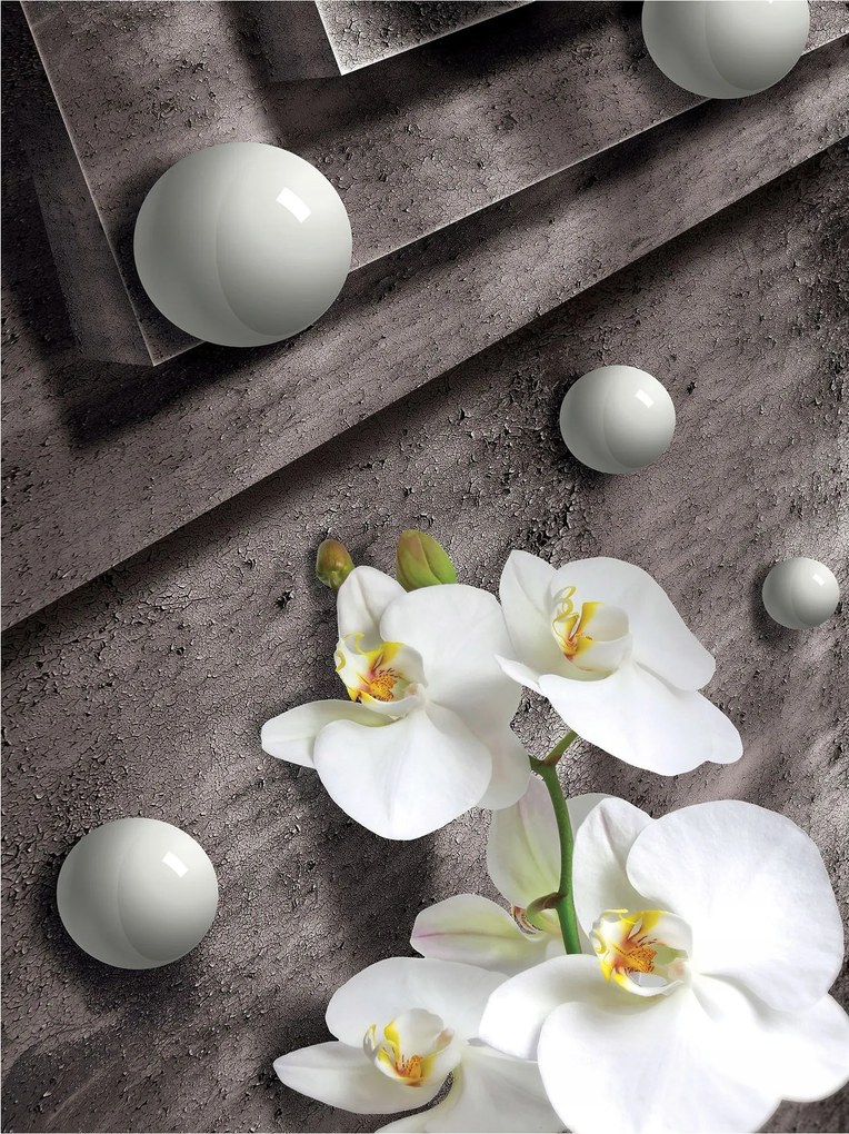 Fotótapéta Fehér orchideák Szürke és geometria 184x254 vinil +ragasztó