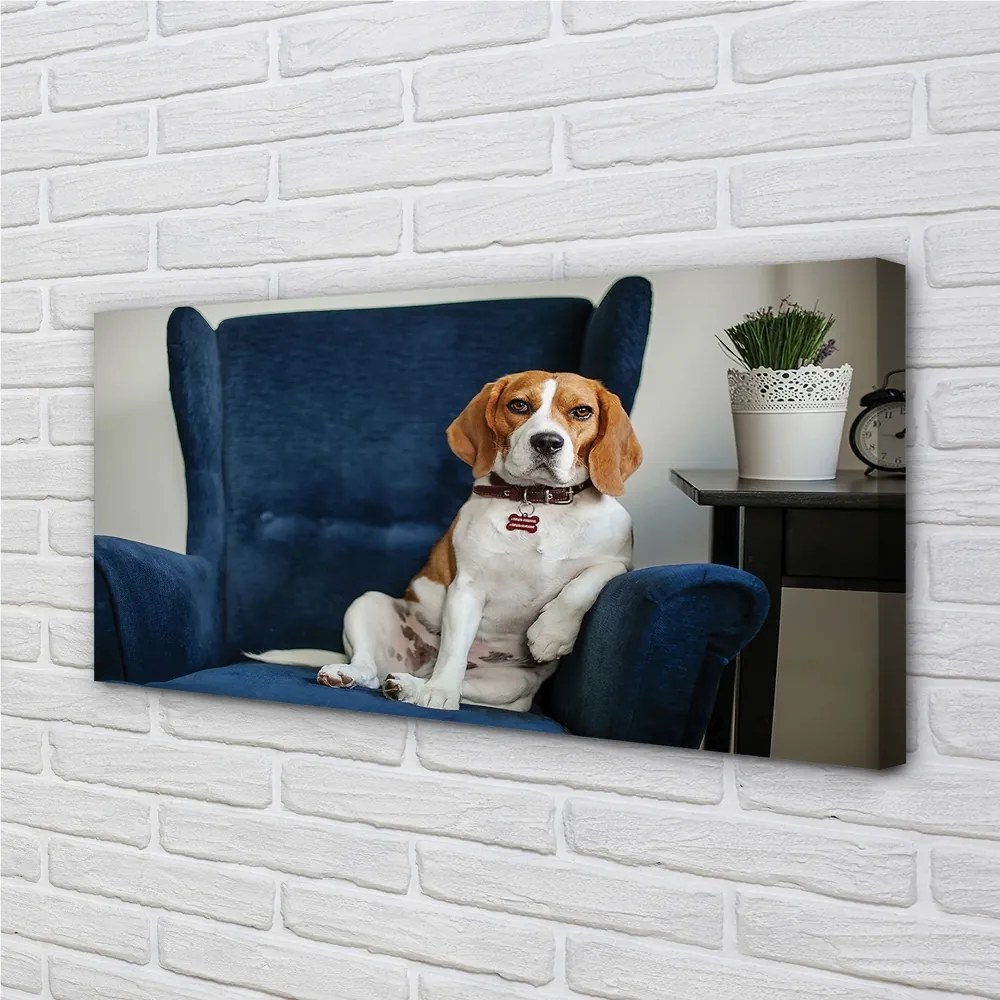 Canvas képek ül kutya 120x60 cm