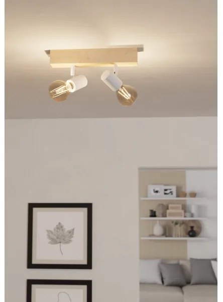 Eglo 99483 - Spotlámpa TOWNSHEND 3 2xE27/60W/230V