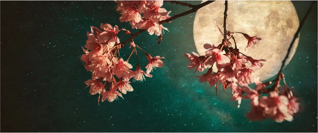Kép - Sakura teliholdkor (120x50 cm)