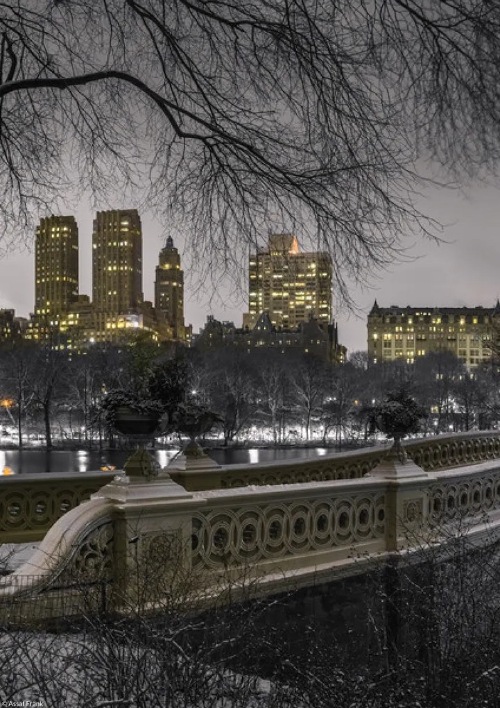 Poszter 21x29,7cm Központi park Manhattan panorámával, Assaf Frank