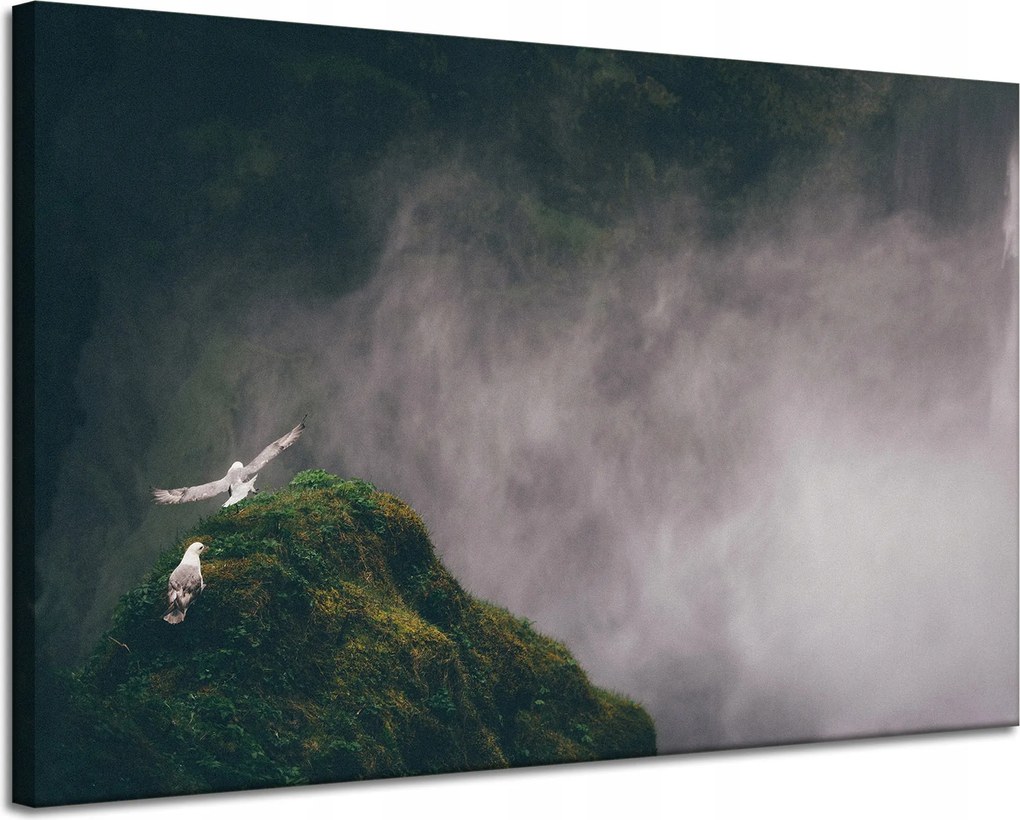 Vászonkép Természet madártávlatból Köd 120x80