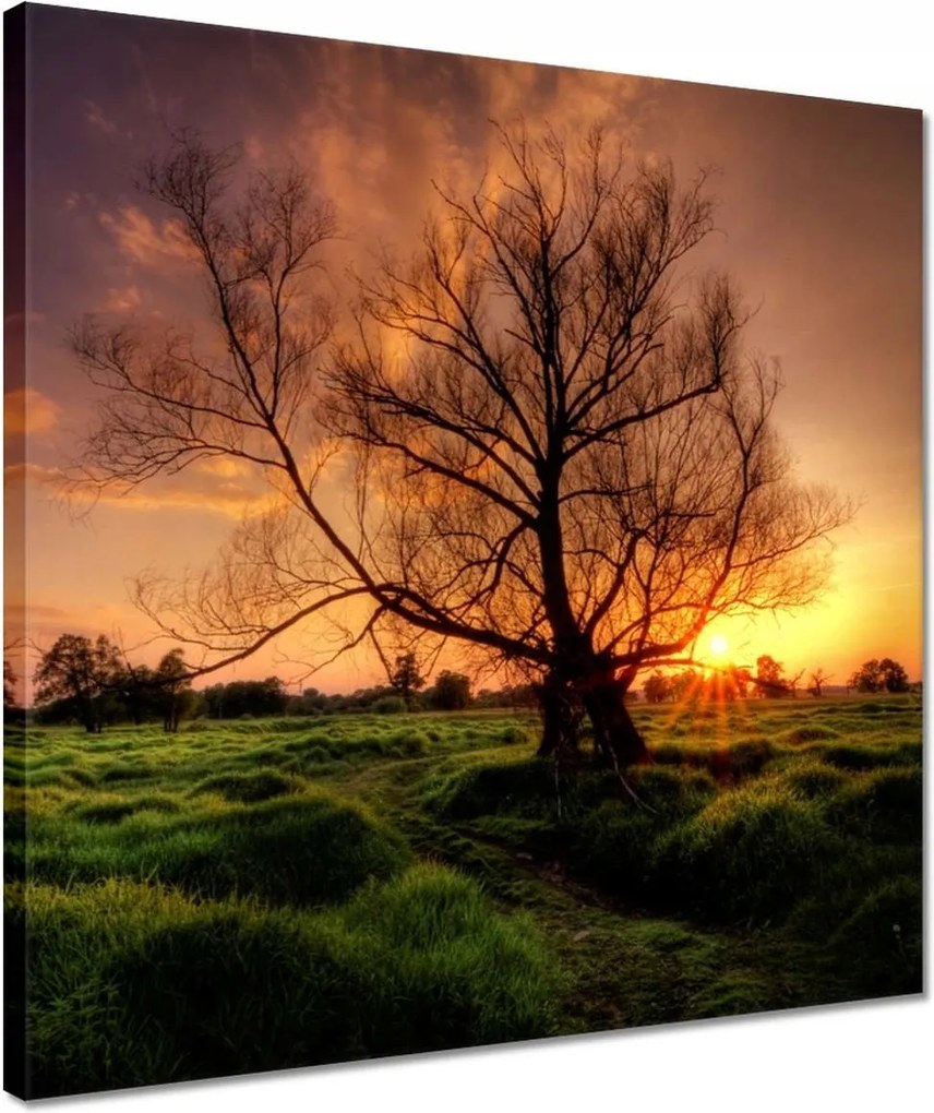 Vászonkép 40x40 Egy este a croissant-ban