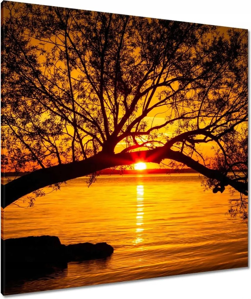 Vászonkép 90x90 Tengerpart Fa Tenger