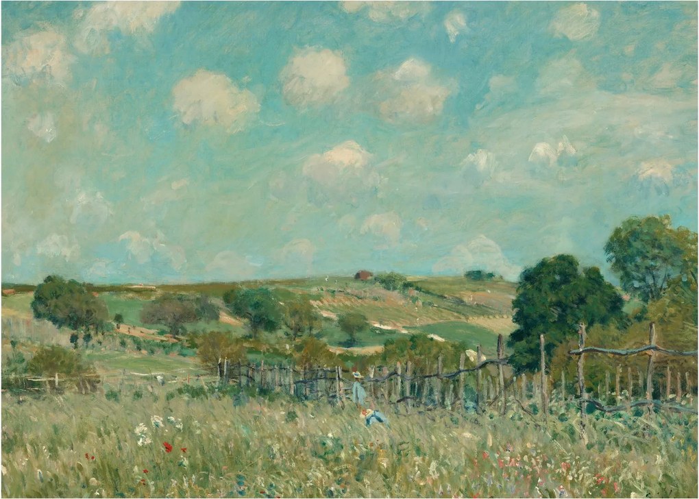 Kép - Alfred Sisley, Meadow, reprodukciók (70x50 cm)