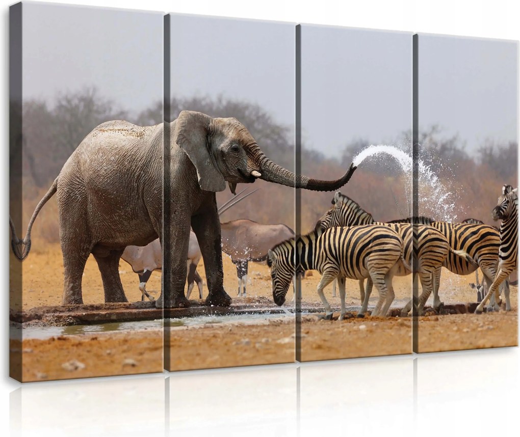 Vászonkép 120x80 Afrika szavanna elefánt zebra állatok természet nyugalom erő