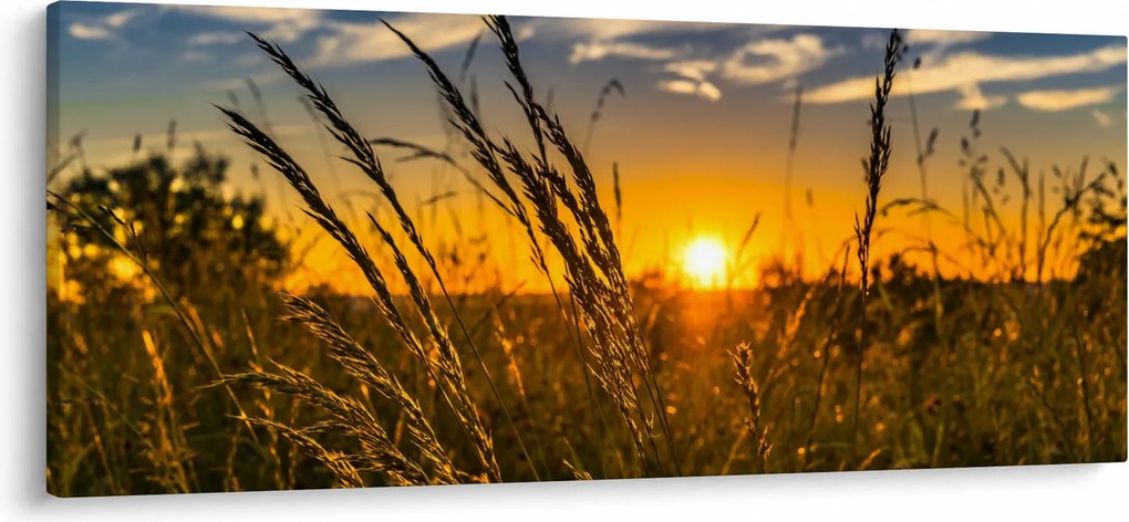 A mező naplementekor képe (120x50 cm)
