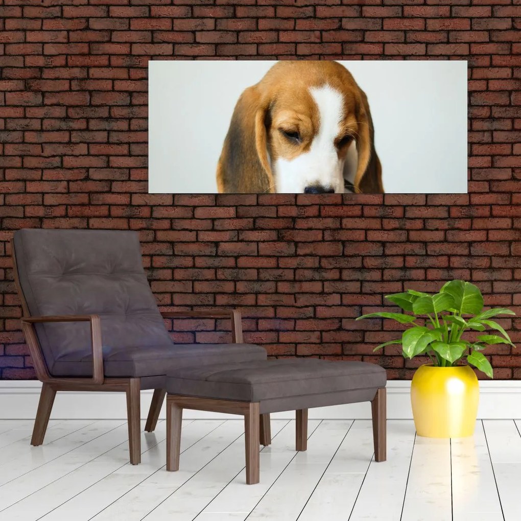 Beagle képe (120x50 cm)