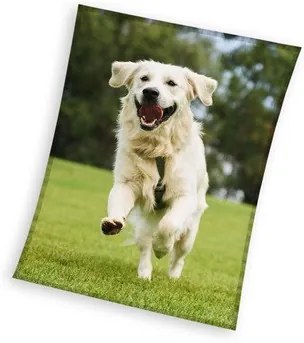 Kutyás Happytail Retriever coral fleece polár takaró 150x200cm