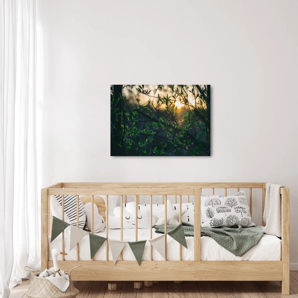 A ragyogó nap képe a fák gallyain keresztül (70x50 cm)