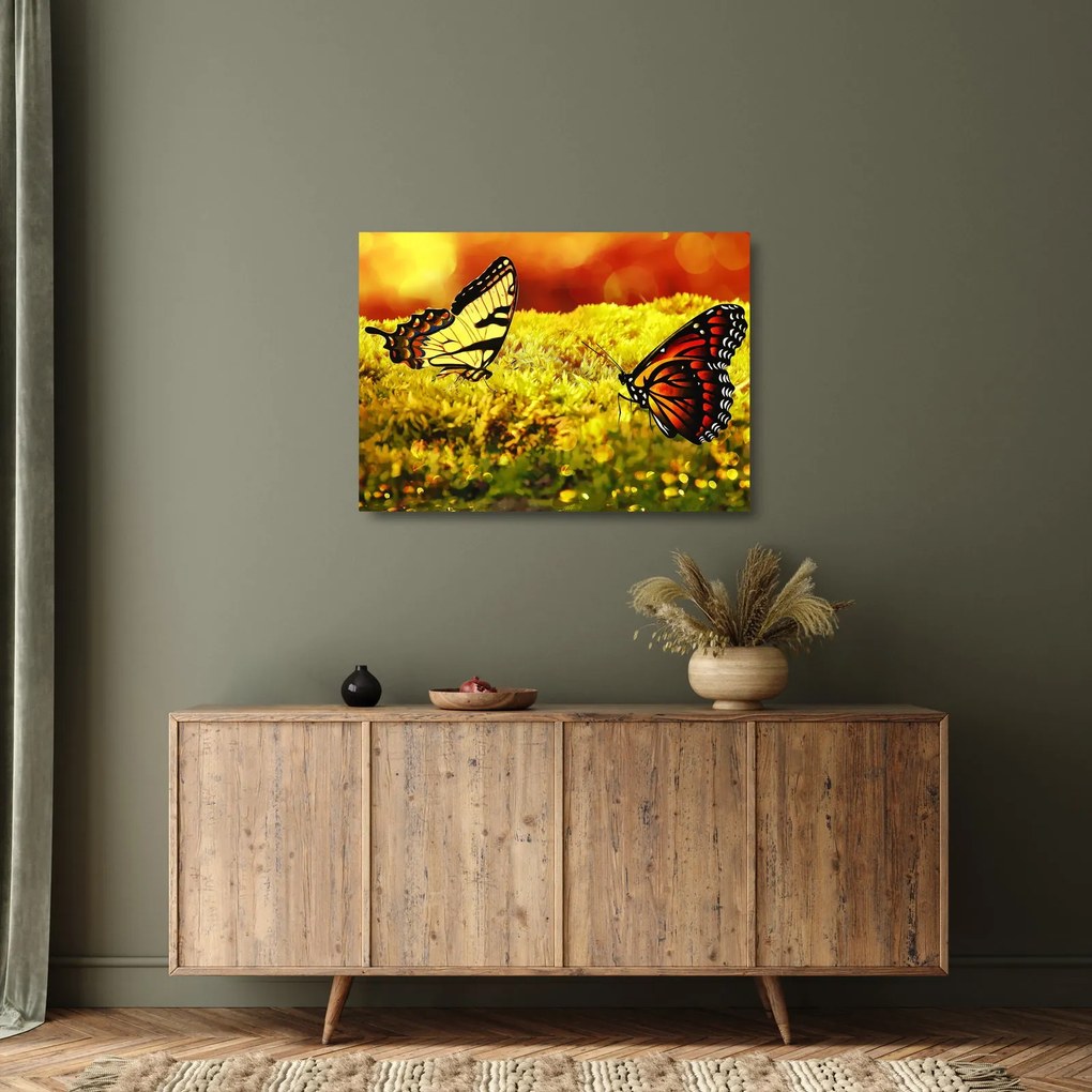 Pillangó képe (üvegen) (70x50 cm)