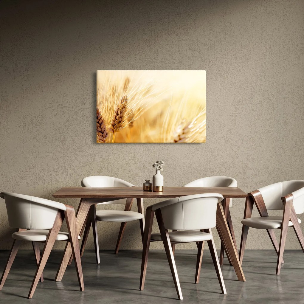 Kép - részlet gabona (90x60 cm)