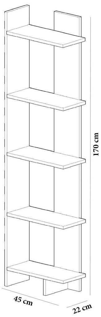 könyvespolc Als - Walnut, White