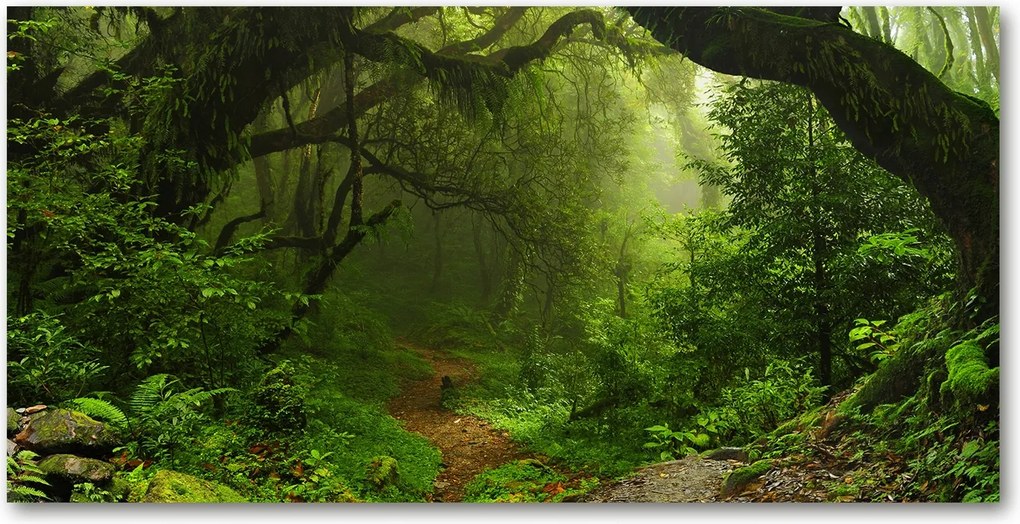 Fotó üvegfestmény Dzsungel Nepálban 140x70