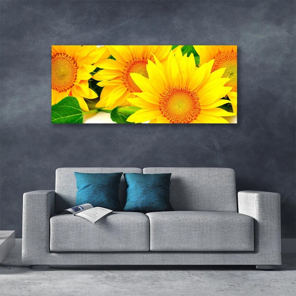 Vászonfotó Napraforgó virág természet 140x70 cm