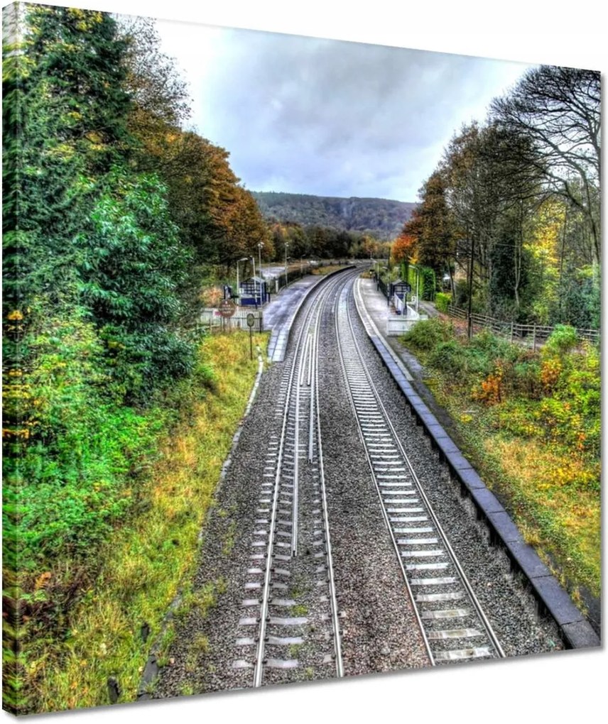 Vászonkép 40x40 Pálya