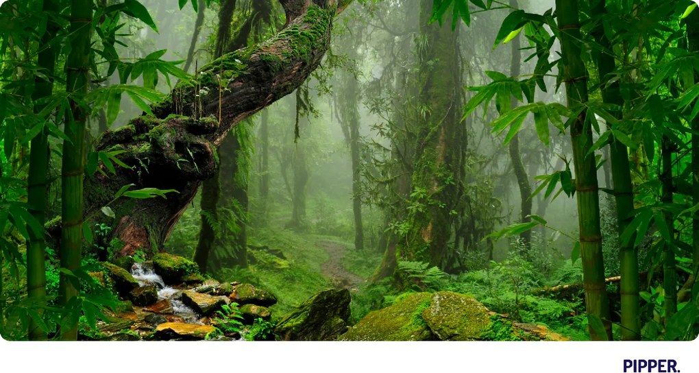 PIPPER. Öntapadós textiltapéta "Titokzatos dzsungel"