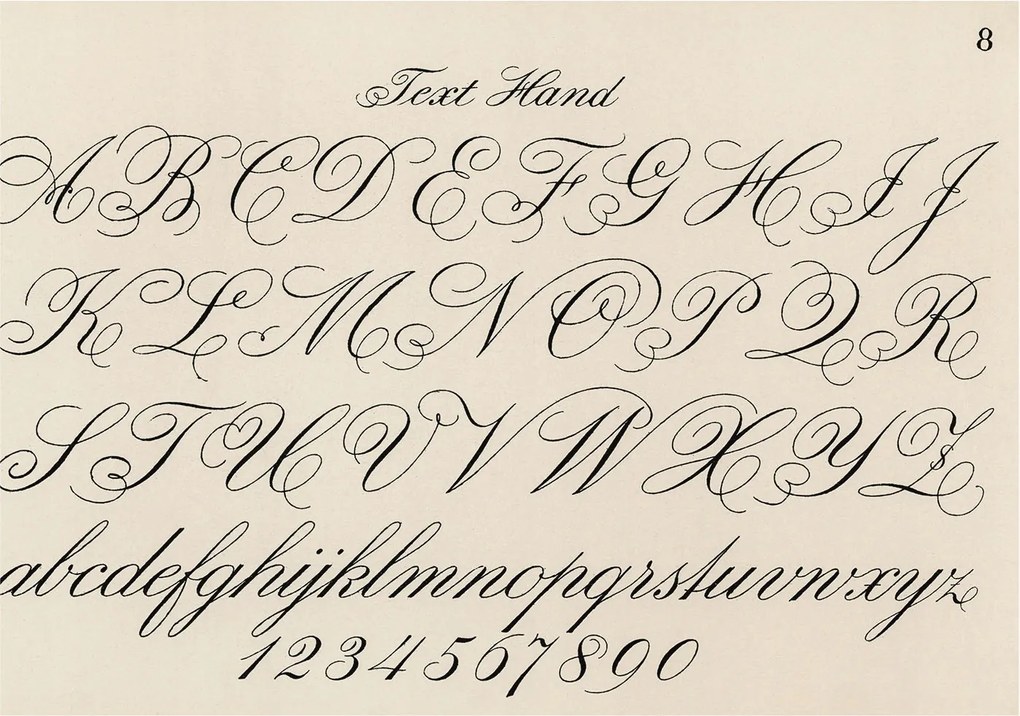 Stílusos Dekoratív fotótapéta Flizelin Kalligrafikus írás 312x219