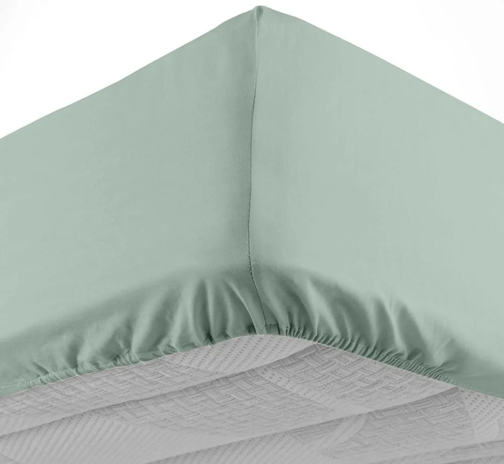 Világoszöld gumis pamut lepedő 180x200 cm Lina – douceur d'intérieur