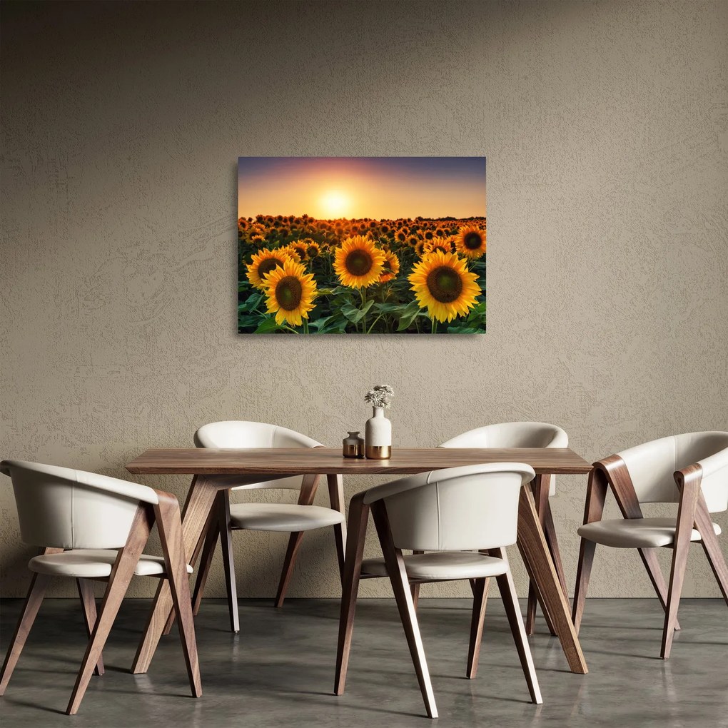 Kép - Napraforgó (üvegen) (70x50 cm)
